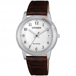 Citizen - Orologio Evergreen - Acciaio - Eco-Drive