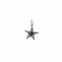 CHARM STELLA GRASSA