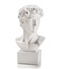 BUSTO DAVID BIANCO CM 18