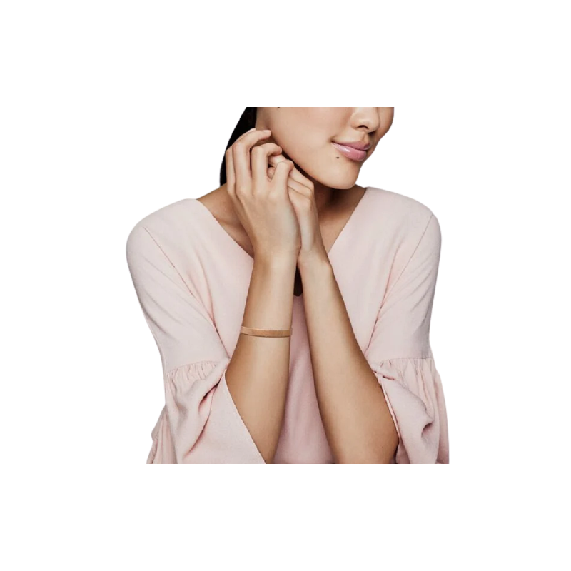 Pandora Reflexions Bracelet In
