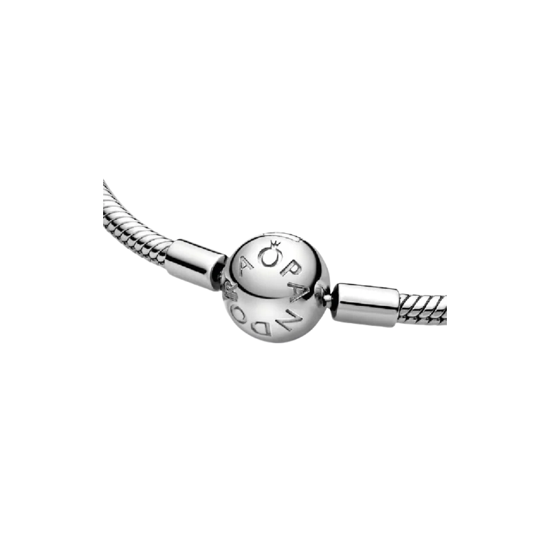 Snake Chain Silver Bracelet With Round C