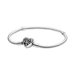 Snake Chain Sterling Silver Bracelet And