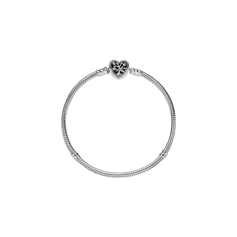 Snake Chain Sterling Silver Bracelet And