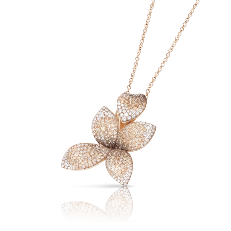 COLLANA PASQUALE BRUNI GIARDINI SEGRETI