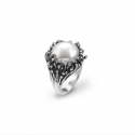 ANELLO ANEMONE MIS.12