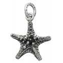 CHARM STELLA GRASSA