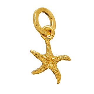 Giovanni Raspini - Charm Stella Marina - Argento Dorato