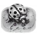 BARILOTTO COCCINELLA
