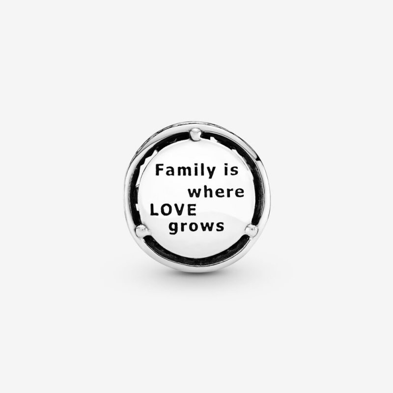 Family Tree Silver Charm