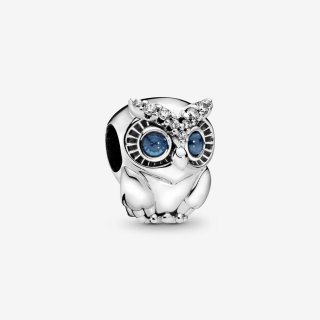 Owl Sterling Silver Charm With
