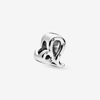 Leo Sterling Silver Charm With