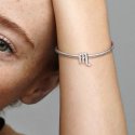 Scorpio Sterling Silver Charm