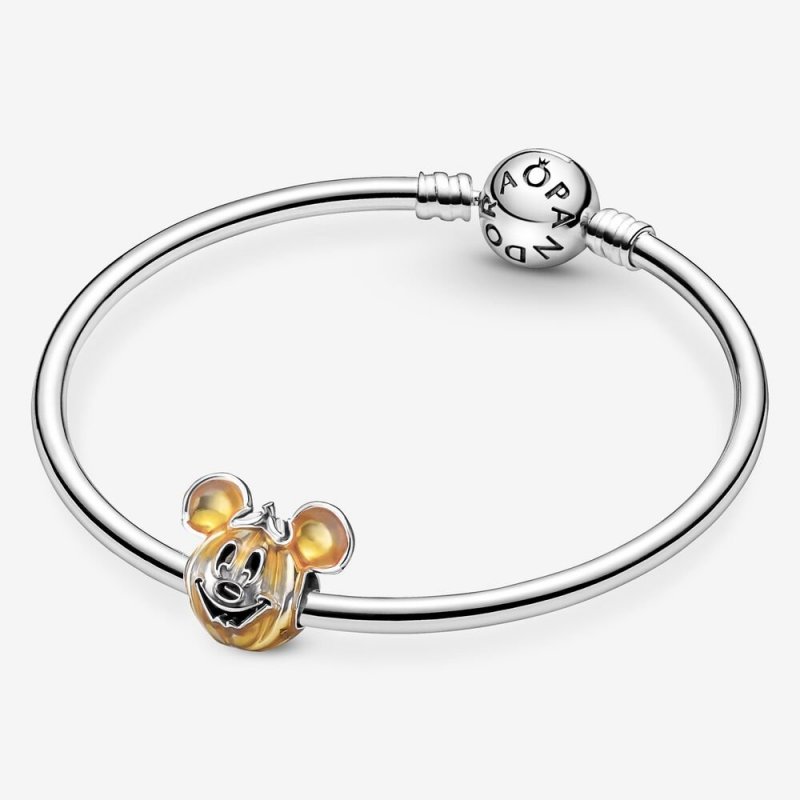 Disney, Zucca Mickey Mouse
