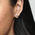 Silver Stud Earrings With Clea
