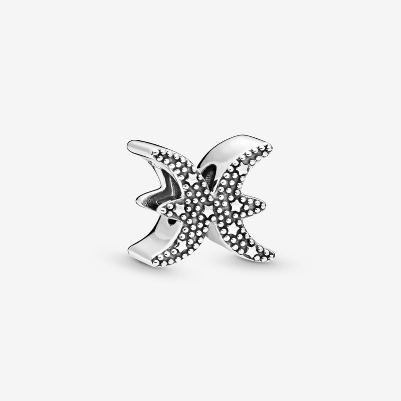 Pisces Sterling Silver Charm W