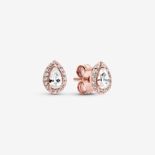 Pandora Rose Stud Earrings Wit