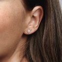 Pandora Rose Stud Earrings Wit