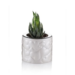 Ottaviani - Candela Cuori - Resina - Grigio
