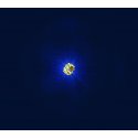 ANELLO CATENA ORO GIALLO PAVE' BIANCO PP MIS. 012