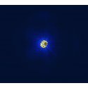 ANELLO CATENA ORO GIALLO,ARGENTO/PAVE ROSA PP ARGENTO 012