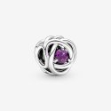 Charm Cerchio Eterno Viola Febbraio