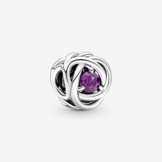 Charm Cerchio Eterno Viola Febbraio