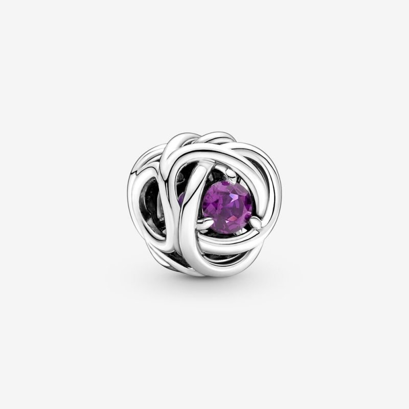 Charm Cerchio Eterno Viola Febbraio