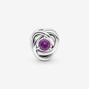 Charm Cerchio Eterno Viola Febbraio