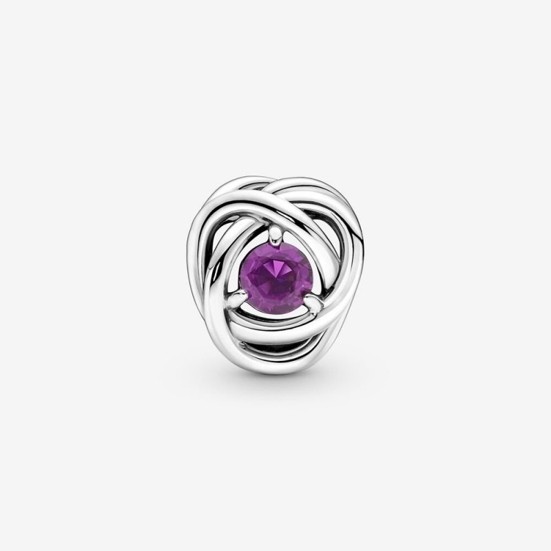 Charm Cerchio Eterno Viola Febbraio