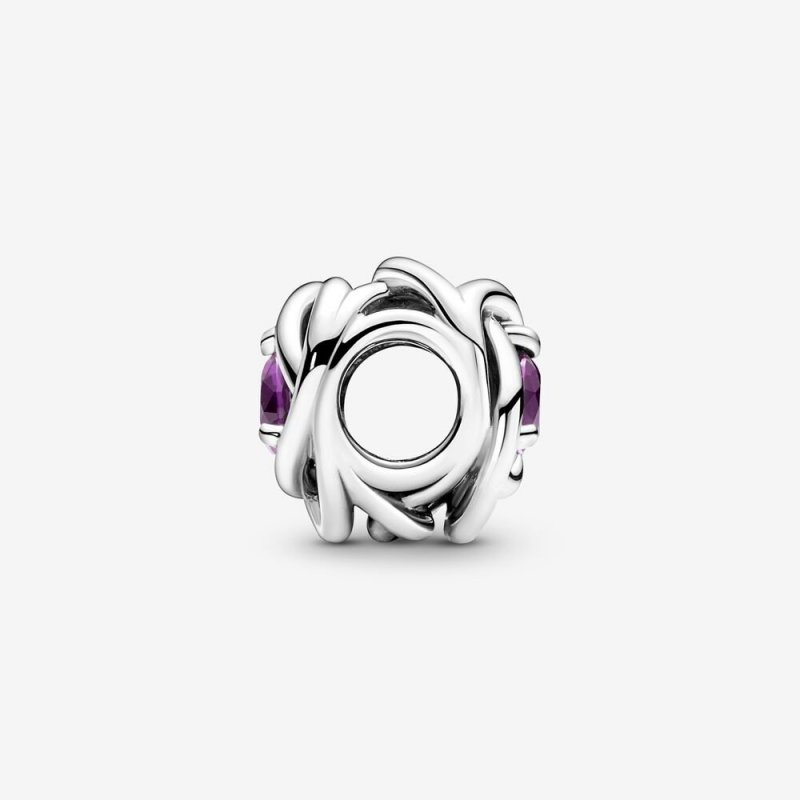 Charm Cerchio Eterno Viola Febbraio