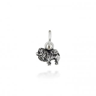 Charm Volpino