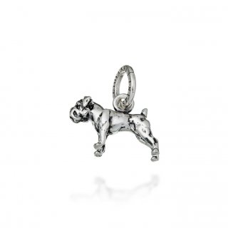 Charm Boxer