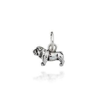 Charm Bulldog