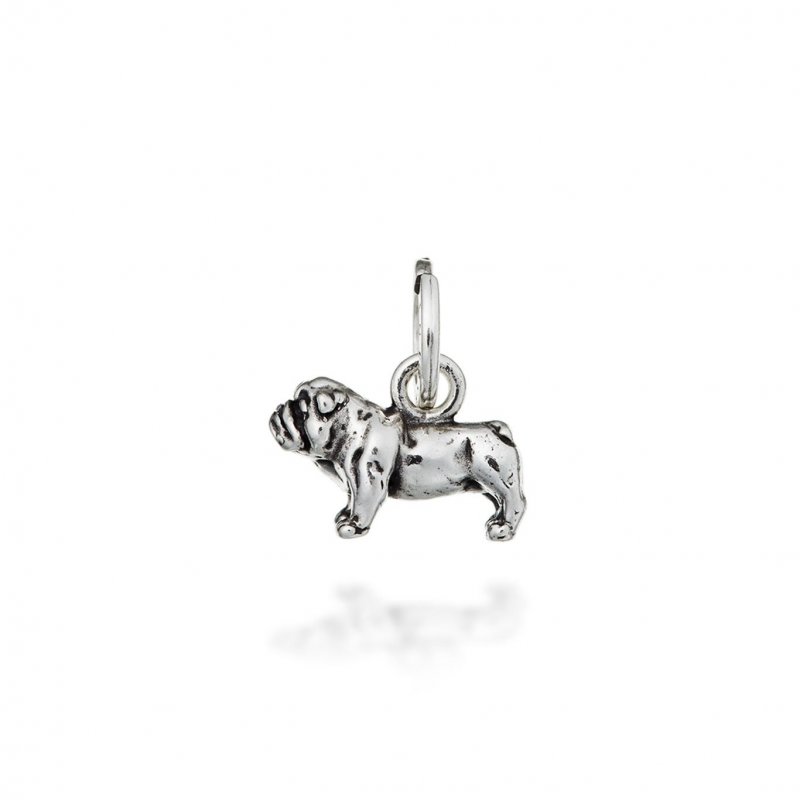 Charm Bulldog