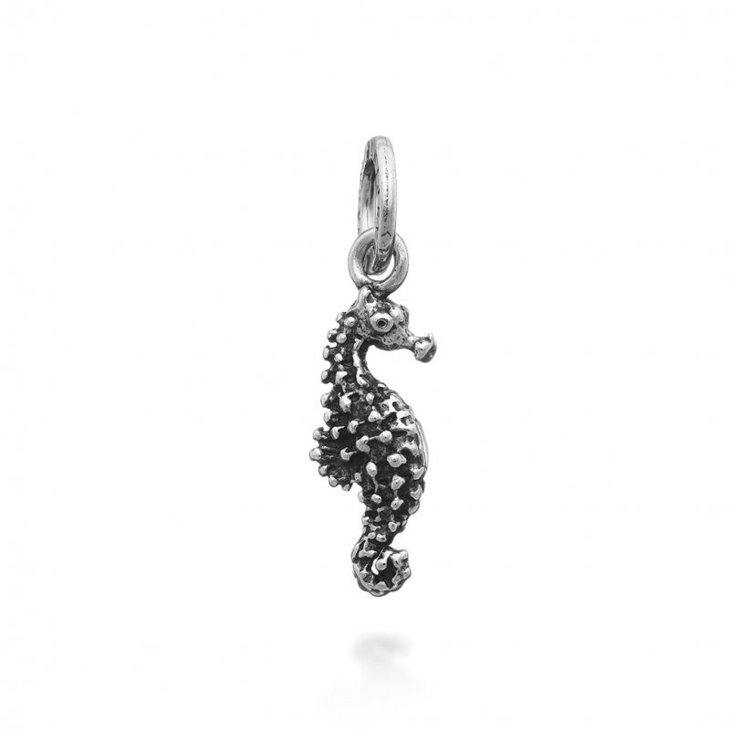 Charm Cavalluccio Marino