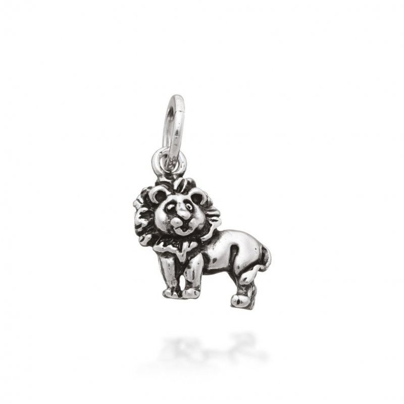 Charm Leoncino