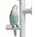 Candelabro Parrot Team