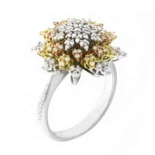 Chimento - Anello Tradition - Oro Tricolore