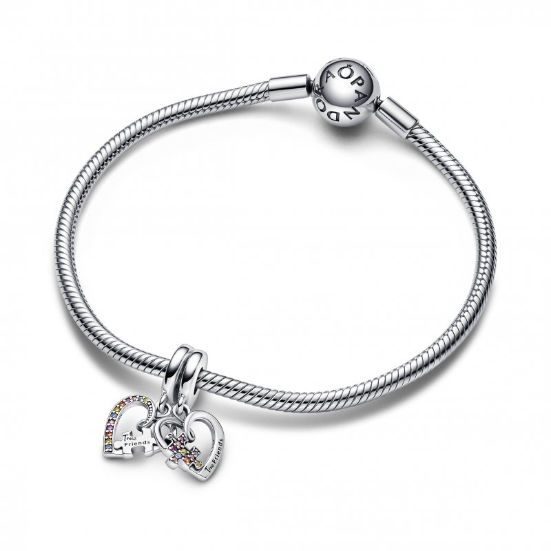 Charm Pendente Puzzle dell'Amicizia Divisibile