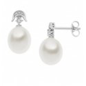 Comete Gioielli - Orecchini Orp 718 - Oro 18Kt - Perle