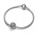 Charm Stella Invernale