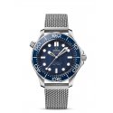 Diver 300M Co-Axial Master Chronometer 42 mm