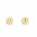 Orecchini Cesare Paciotti gioiello unisex JPOR2449G