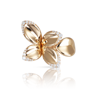 Anello Giardini Segreti