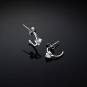 Orecchini Chiara Ferragni Brand Silver Collection - J19Axd04