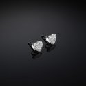 Orecchini Chiara Ferragni Brand Silver Collection - J19Axd05