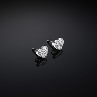 Orecchini Chiara Ferragni Brand Silver Collection - J19Axd05