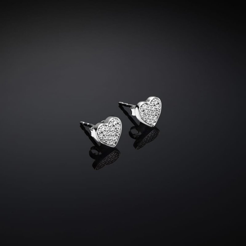 Orecchini Chiara Ferragni Brand Silver Collection - J19Axd05