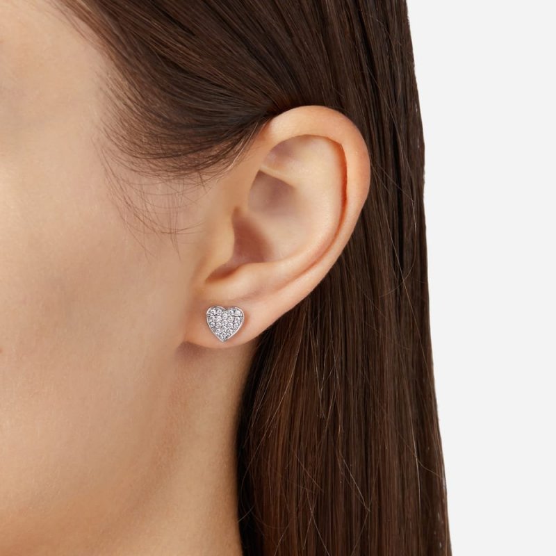 Orecchini Chiara Ferragni Brand Silver Collection - J19Axd05