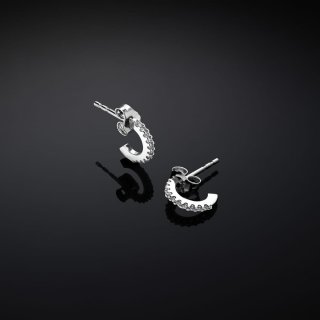 Orecchini Chiara Ferragni Brand Silver Collection - J19Axd09